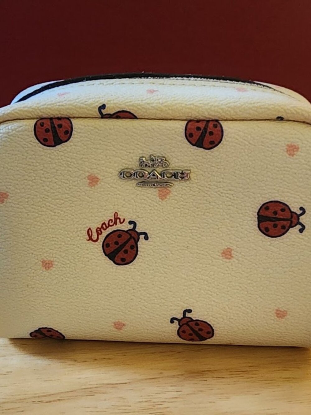 Coach Ladybug Mini Boxy Case